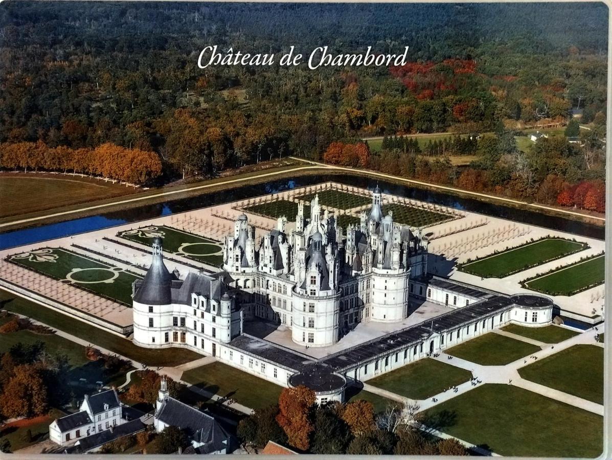 Gite Du Domaine De Juliette Location Proche Du Zoo De Beauval Et Des Chateaux Villa Selles-sur-Cher Kültér fotó